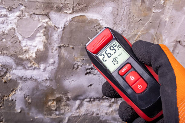 Best Localized Mold Remediation (e.g., coastal areas, humid climates) in New London, OH