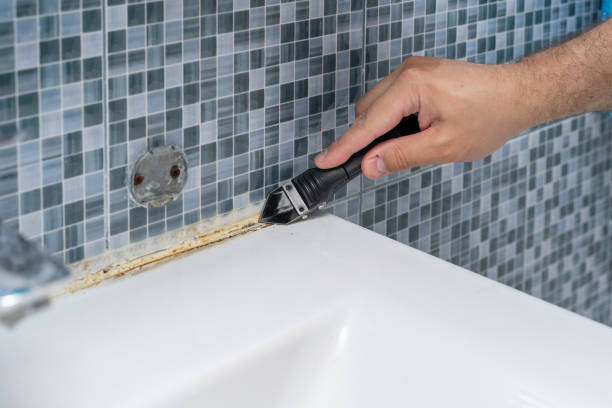 Best White Mold Remediation in New London, OH